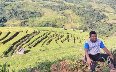 Terlalu Banyak Pupuk Kimia, 72 Persen Lahan Pertanian RI Kini Kritis