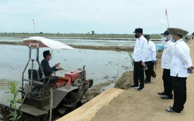 72 Persen Tanah Pertanian di Indonesia Sakit